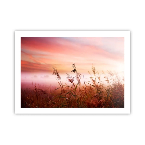 Plakat - Latawce, dmuchawce, wiatr - 70x50 cm