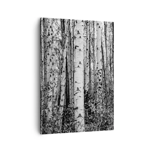 Obraz na płótnie - Czarno-biały las brzóz z gęstym podszyciem - 50x70cm - Brzozowa kolumnada - Nowoczesna dekoracja ścienna do salonu, kuchni i sypialni ARTTOR