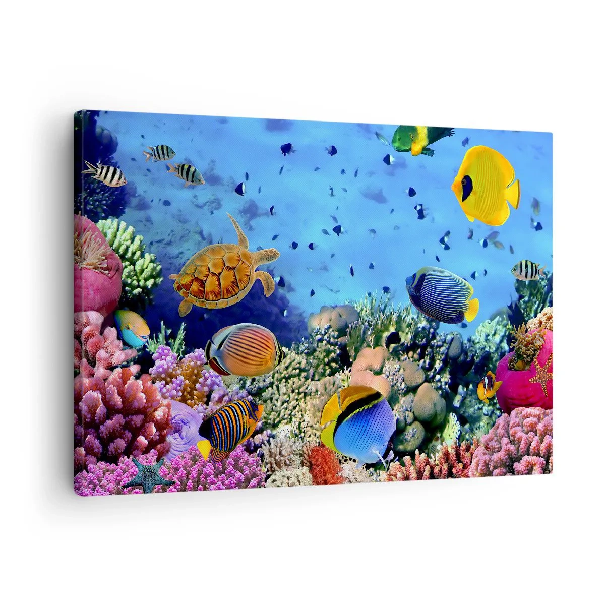 Obraz na płótnie - Rafa koralowa z kolorowymi rybami i żółwiem morską - 70x50cm - I co my wiemy o życiu... - Nowoczesna dekoracja ścienna do salonu i sypialni ARTTOR