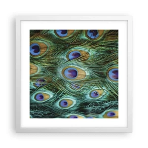 Plakat w białej ramie - Pawiookie spojrzenie - 40x40 cm