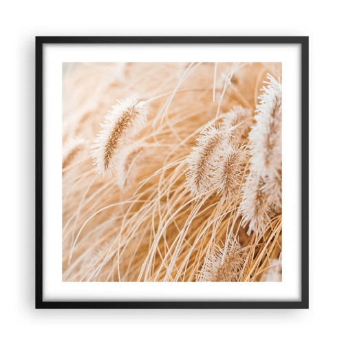 Plakat w czarnej ramie - Złoty szelest traw - 50x50 cm