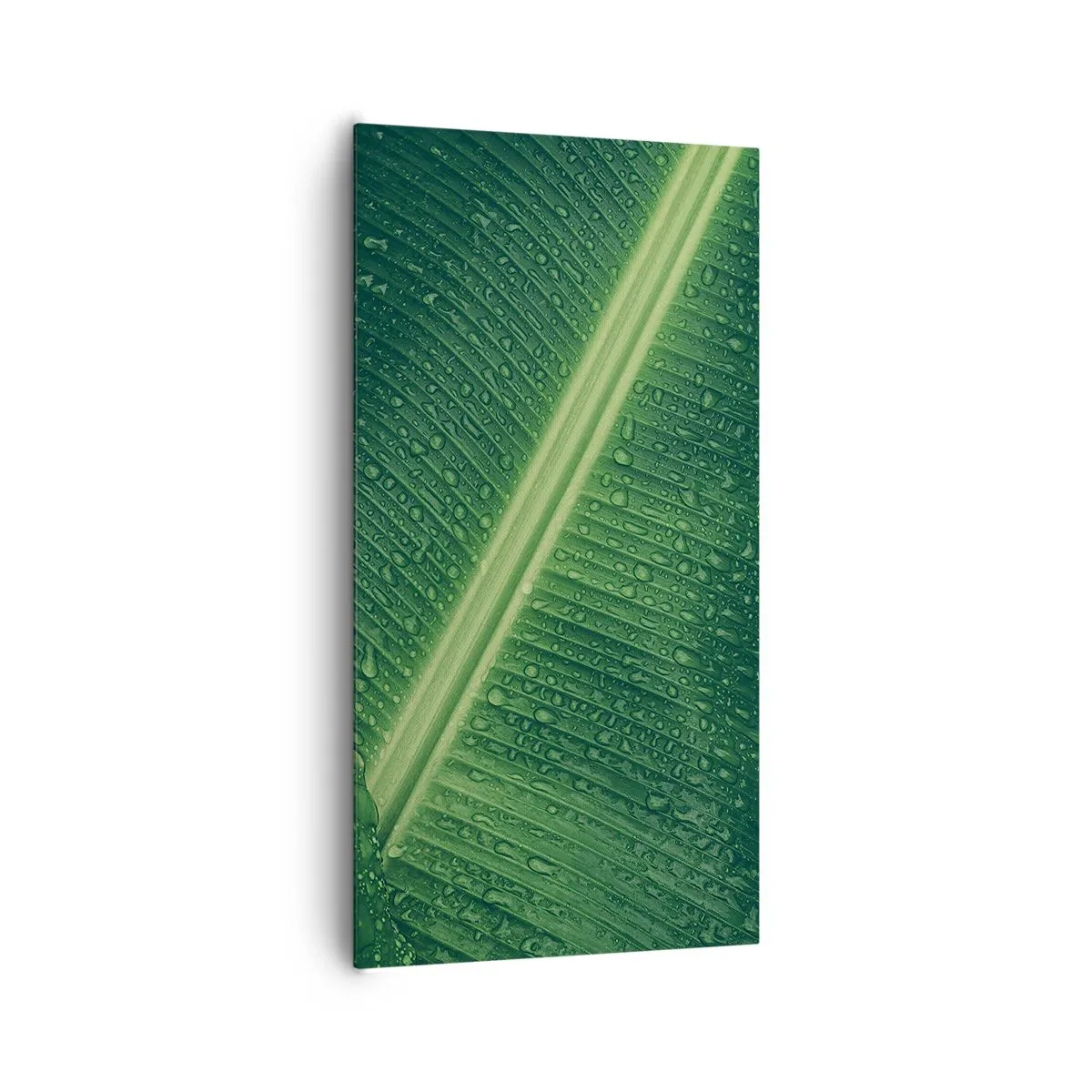 Obraz na płótnie - Struktura zieleni - 65x120 cm