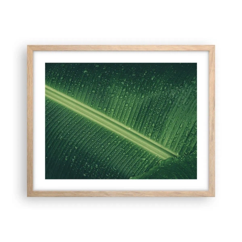 Plakat w ramie jasny dąb - Struktura zieleni - 50x40 cm