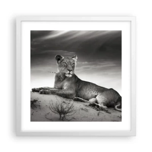 Plakat w białej ramie - Odpoczynek królowej pustyni - 40x40 cm