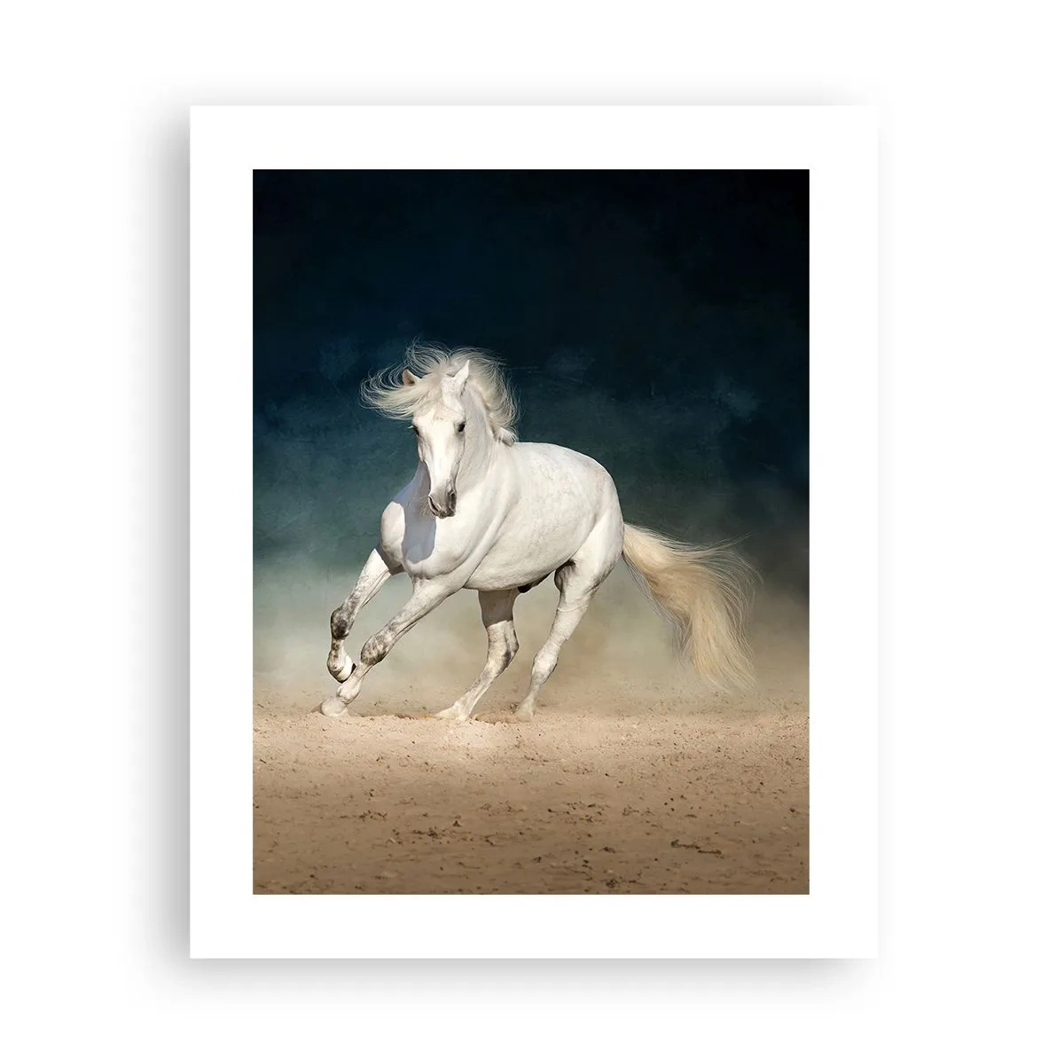 Plakat - Wolność w stanie czystym - 40x50 cm