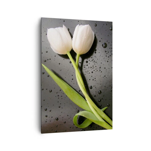 Obraz na płótnie - Białe tulipany na tle czarnym z kroplami wody - 70x100cm - Wiosenny splot - Nowoczesna dekoracja ścienna do salonu i sypialni ARTTOR