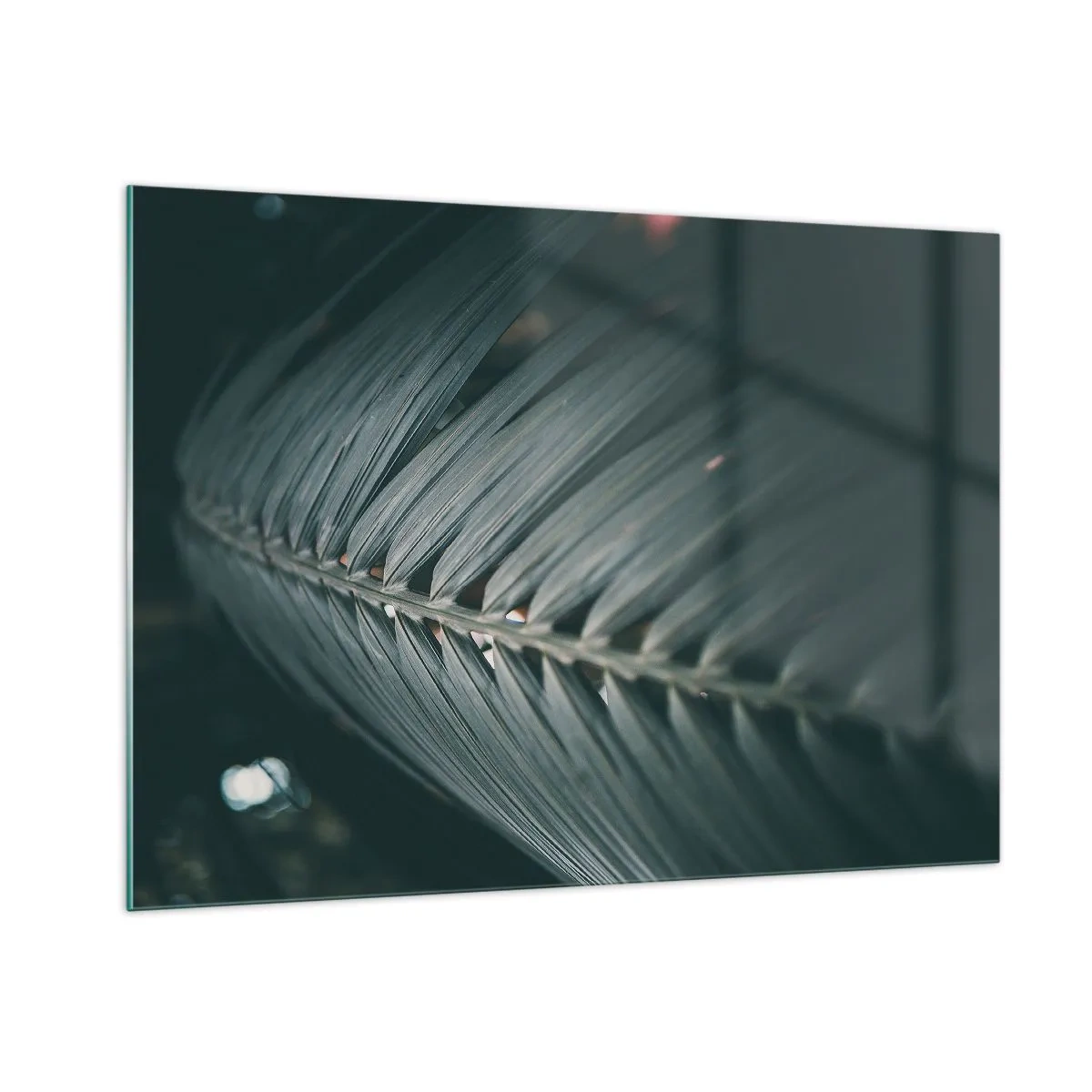 Obraz na szkle - Zbliżenie ciemnozielonego liścia palmy z odbiciem światła - 100x70cm - Precyzja natury - Nowoczesna dekoracja ścienna do salonu, kuchni i sypialni ARTTOR