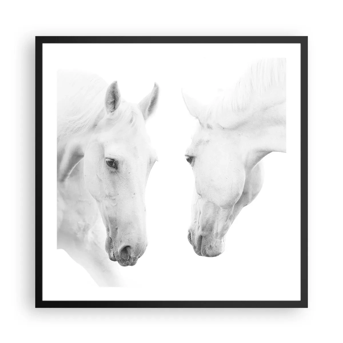 Plakat w czarnej ramie - Czy to jest przyjaźń…? - 60x60 cm