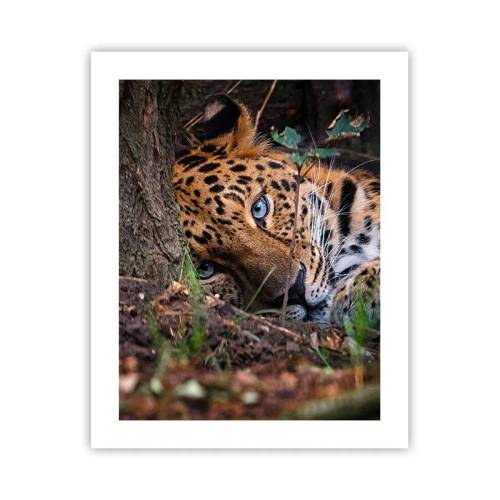 Plakat - Zaufaj mi - 40x50 cm