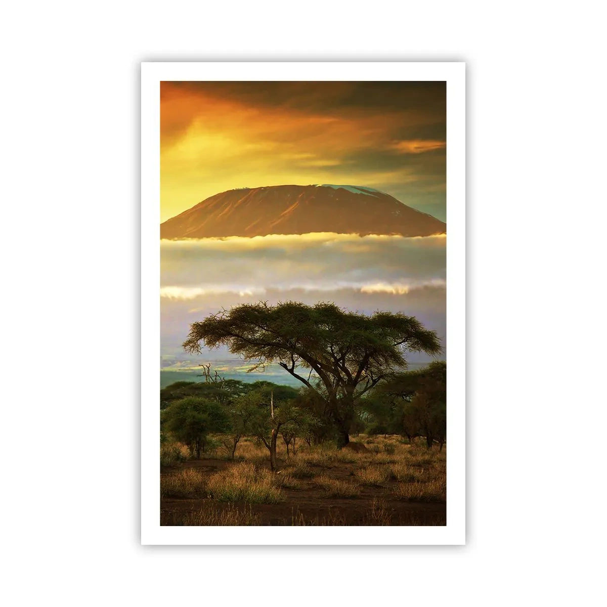 Plakat - Sen podróżnika - 61x91 cm