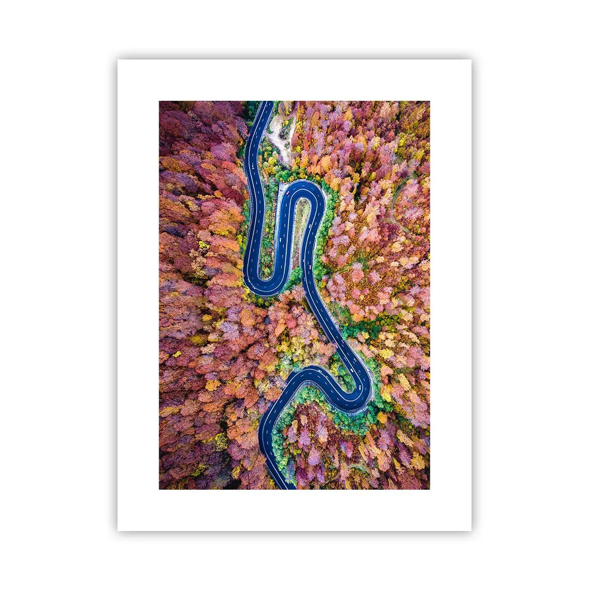 Plakat - Krętą drogą poprzez las - 30x40 cm