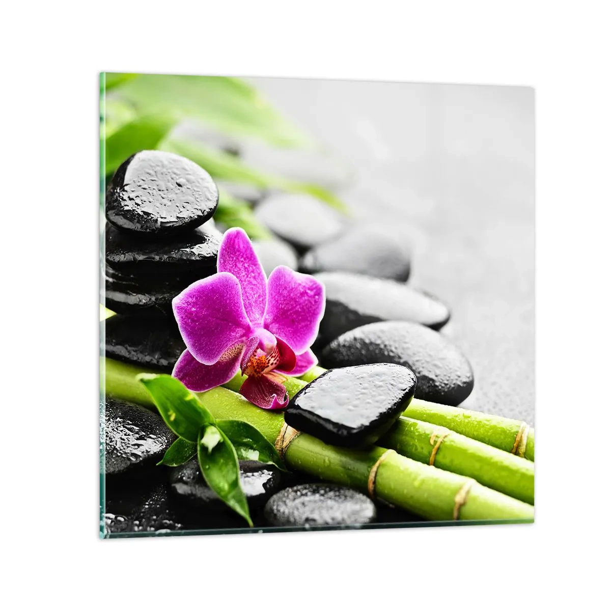 Obraz na szkle - W spokojnej równowadze - 60x60 cm