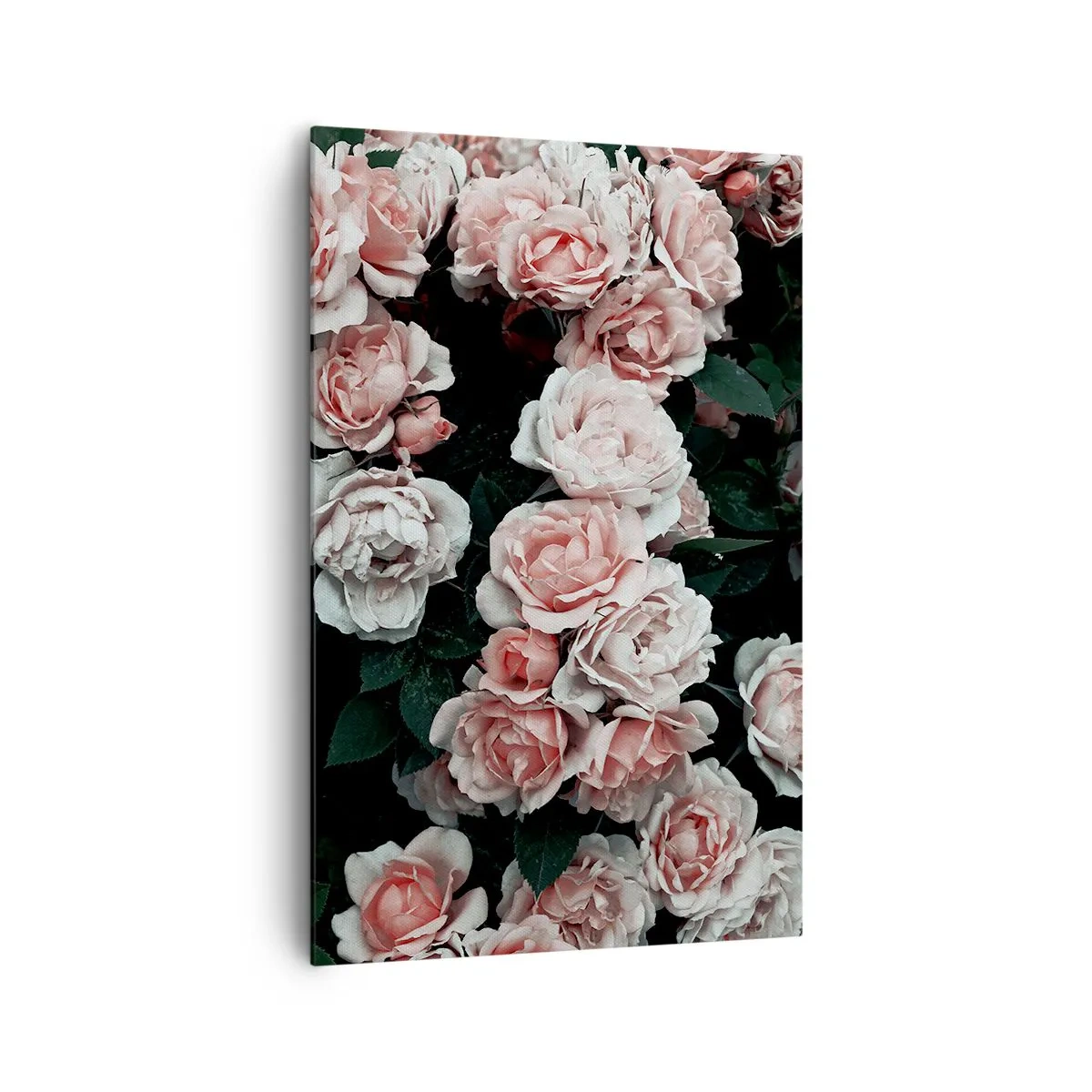 Obraz na płótnie - Różowe róże na ciemnym tle w subtelnej kompozycji - 80x120cm - Różany ansamble - Nowoczesna dekoracja ścienna do salonu i sypialni ARTTOR