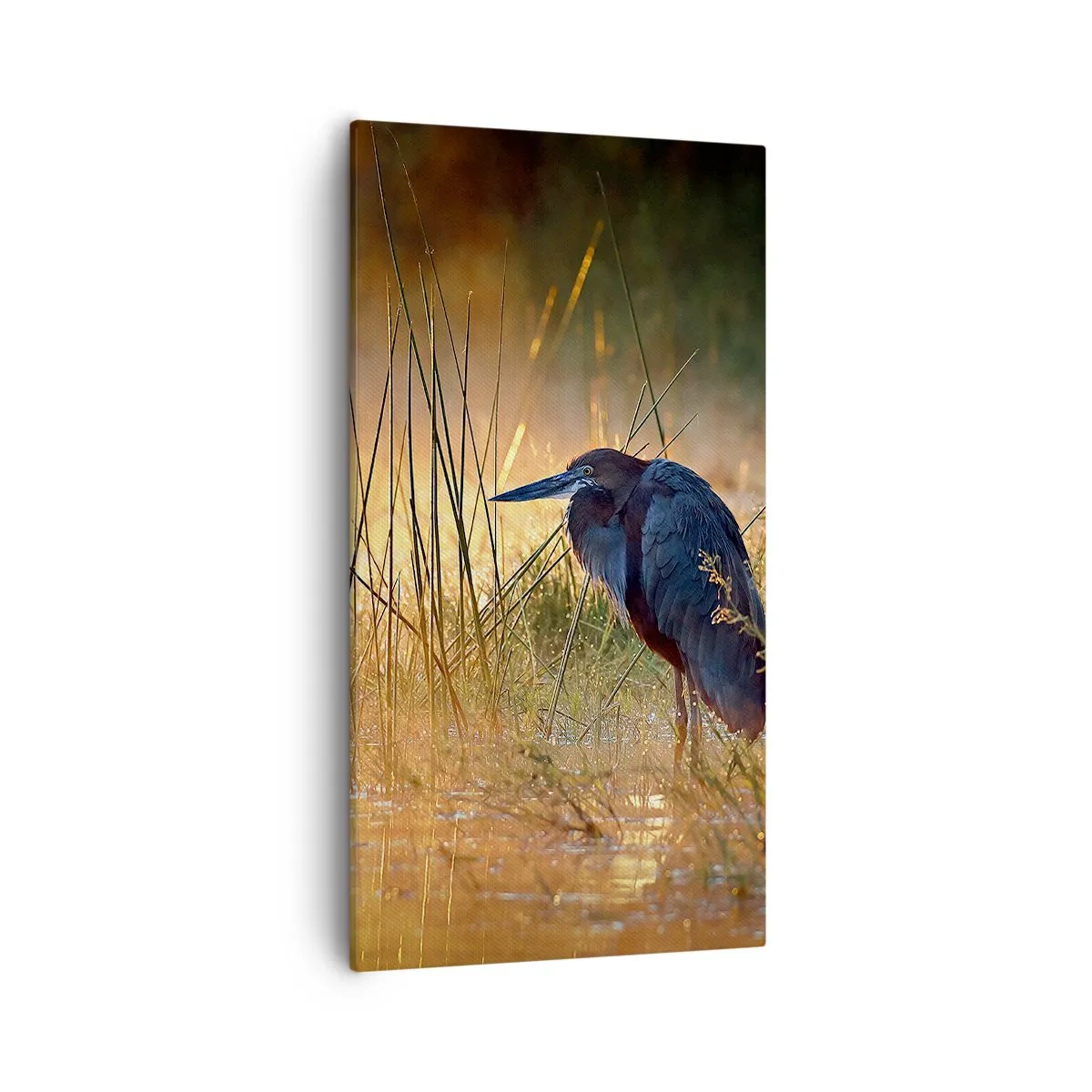 Obraz na płótnie - No dajcie mi spokój z tymi zdjęciami - 55x100 cm