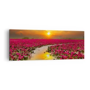Obraz na płótnie - Pole różowych lilii wodnych o zachodzie słońca - 140x50cm - Tajemne życie jeziora - Nowoczesna dekoracja ścienna do salonu i sypialni ARTTOR