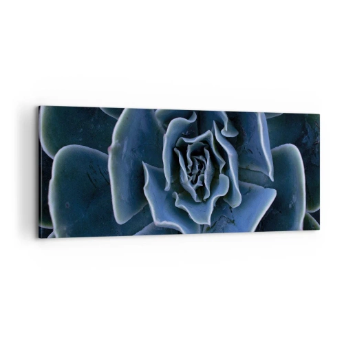 Obraz na płótnie - Kwiat pustyni - 100x40 cm