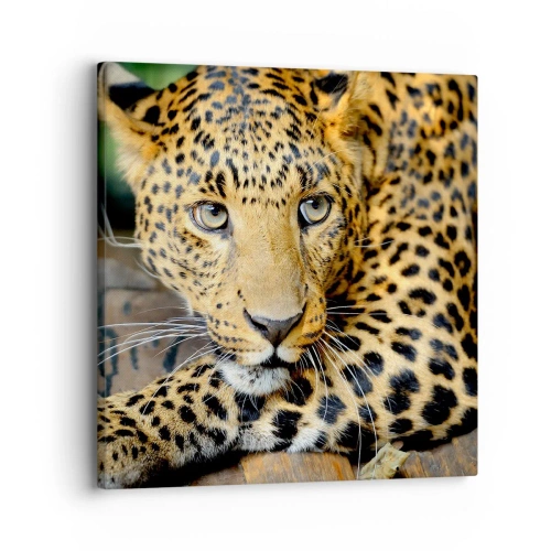 Obraz na płótnie - Nie bój się, podejdź - 30x30 cm