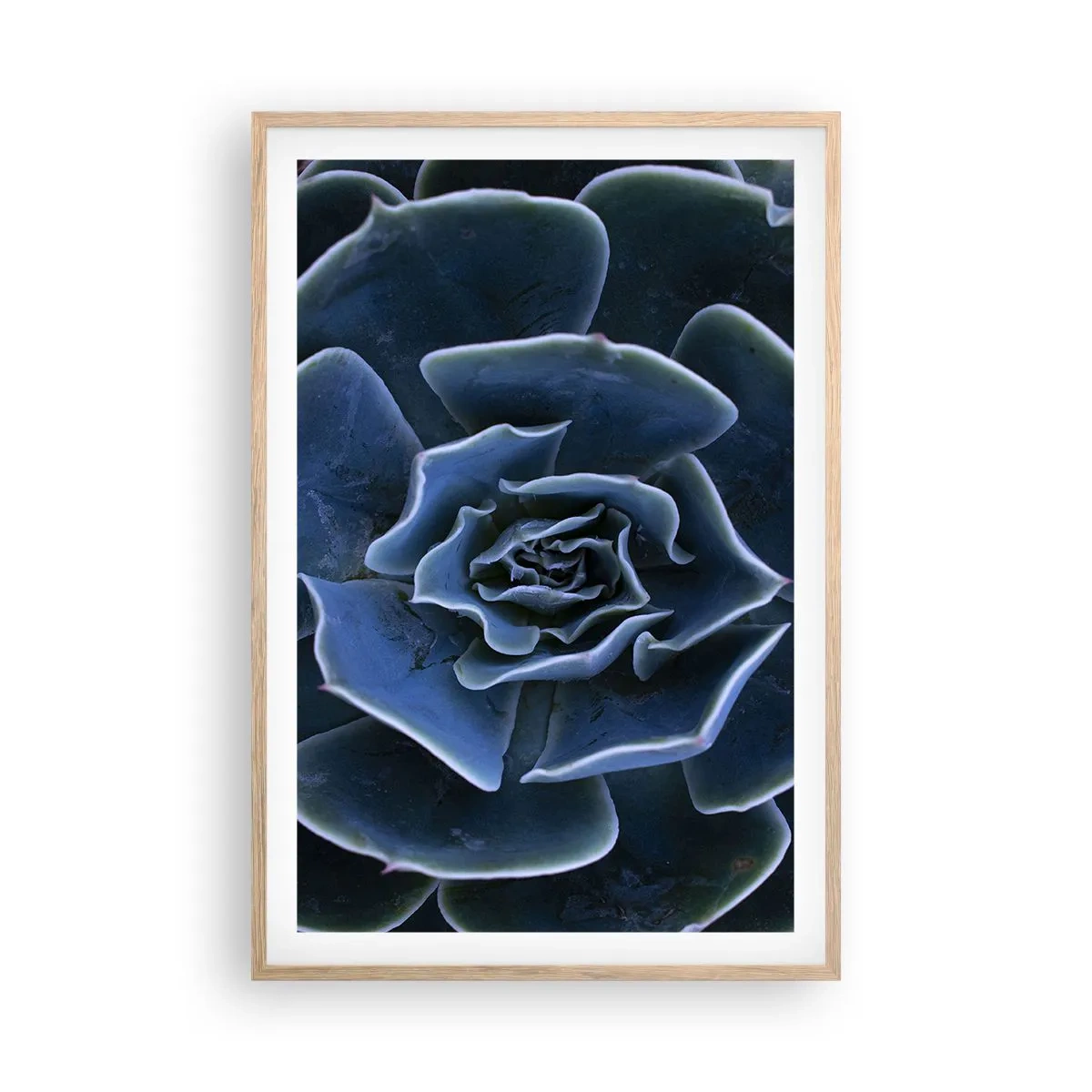 Plakat w ramie jasny dąb - Kwiat pustyni - 61x91 cm