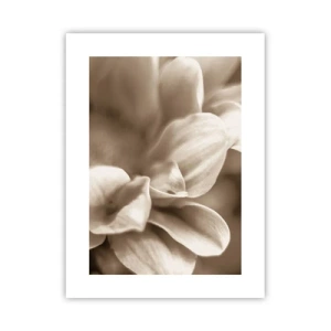 Plakat - Łagodne jak uśmiech - 30x40 cm