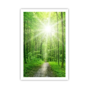 Plakat - Zielona katedra - 61x91 cm
