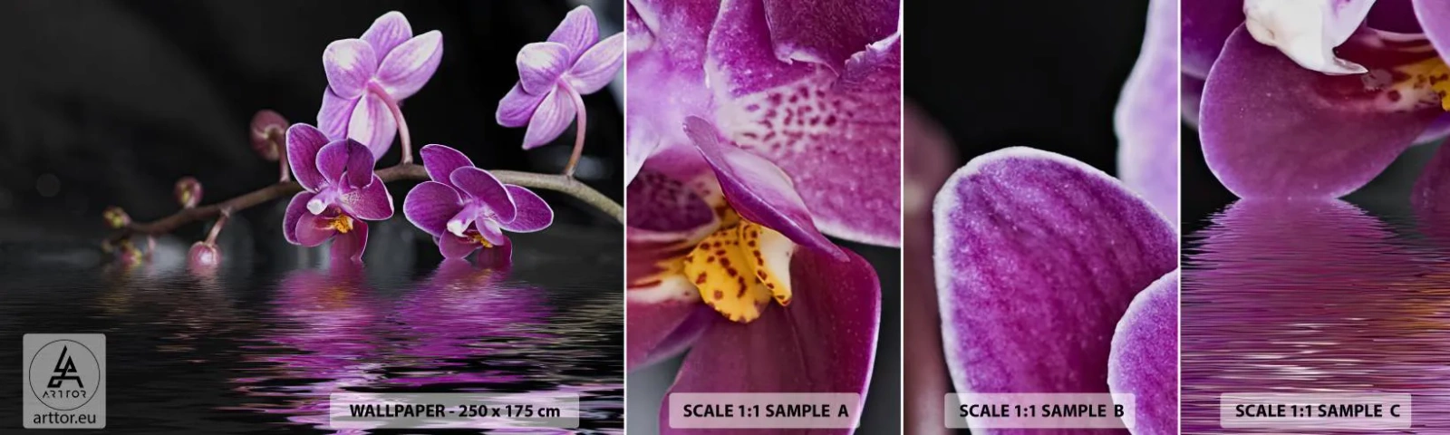 Fototapeta Próbka Samoprzylepna Deluxe Sticker - Liliowe odbicie piękna - Kwiaty, Orchidea, Natura - 100x30 cm