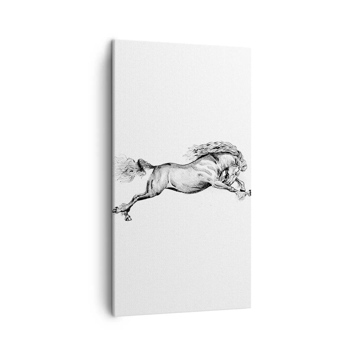 Obraz na płótnie - Zatrzymany w galopie - 45x80 cm