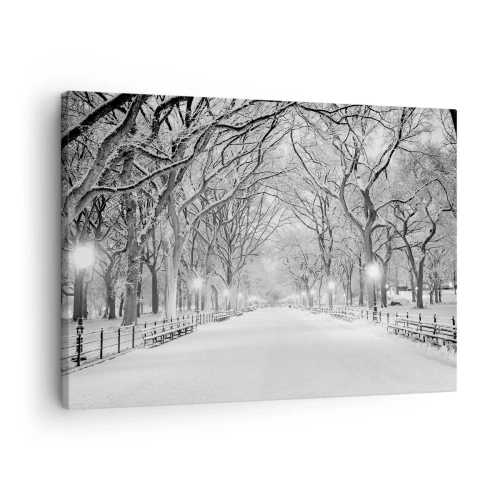 Obraz na płótnie - Zimowa alejka z drzewami pokrytymi śniegiem w monochromatycznym ujęciu - 70x50cm - Cztery pory roku – zima - Nowoczesna dekoracja ścienna do salonu i sypialni ARTTOR