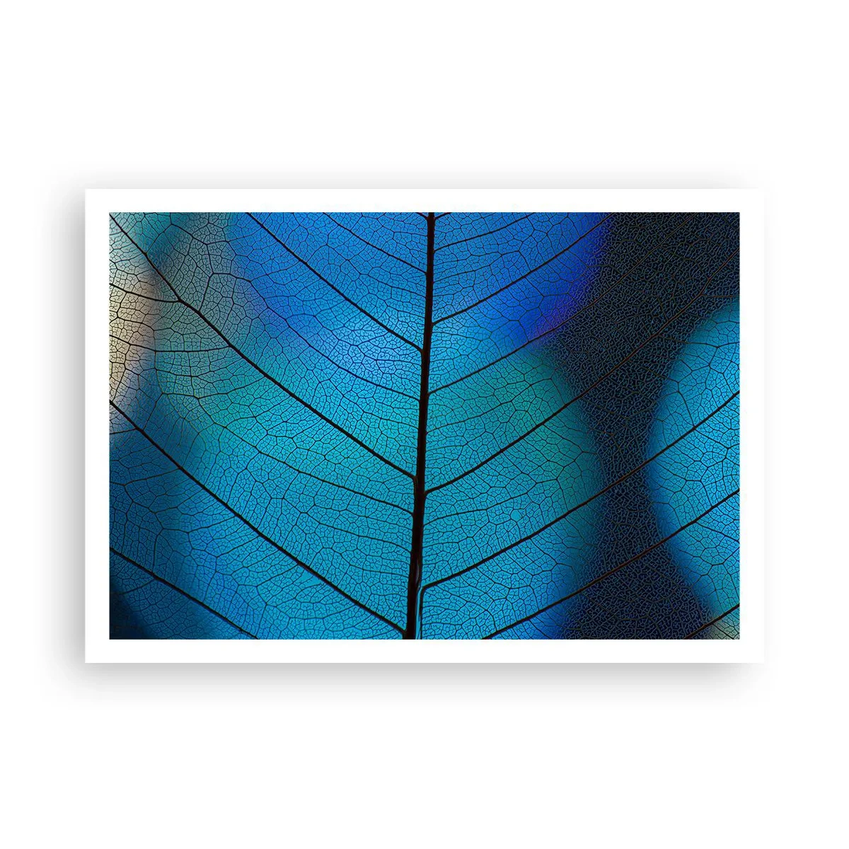 Plakat - Zbliżenie na niebieski liść z widocznym detalem żyłek - 100x70cm - Misterna budowa - Nowoczesna dekoracja ścienna do salonu i sypialni ARTTOR
