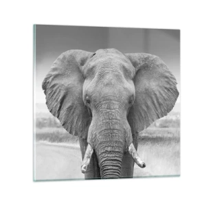 Obraz na szkle - Witaj w moim świecie - 40x40 cm