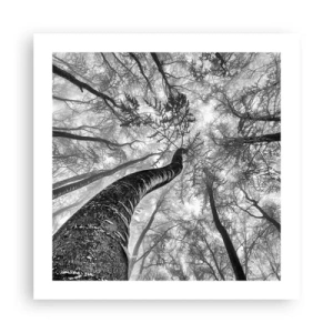 Plakat - Wyścig do światła - 50x50 cm