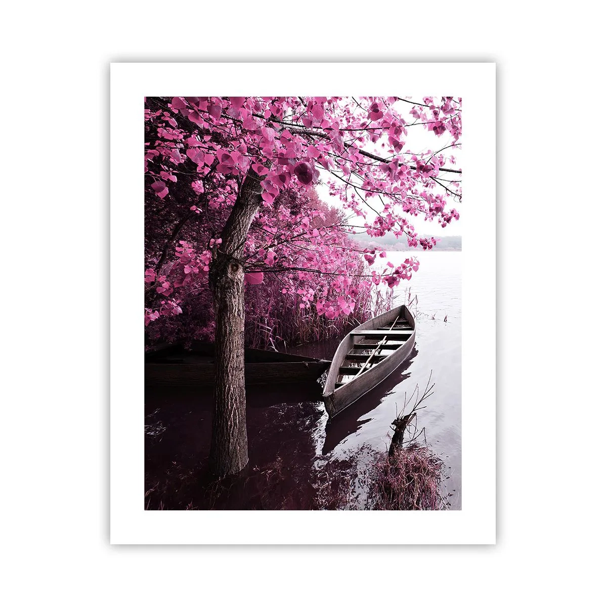 Plakat - W różowej ciszy - 40x50 cm