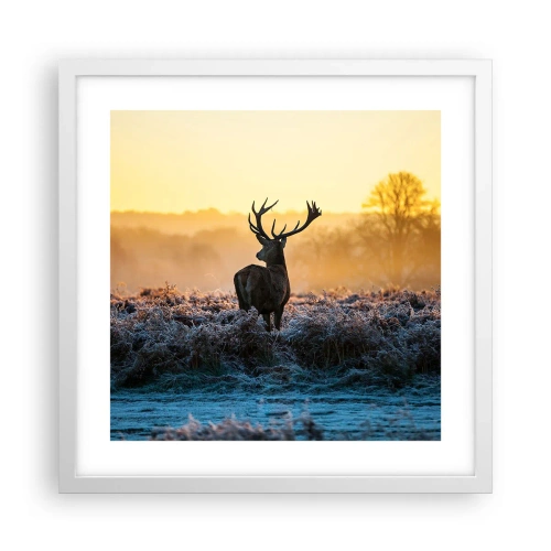 Plakat w białej ramie - Koronowany na swoich włościach - 40x40 cm