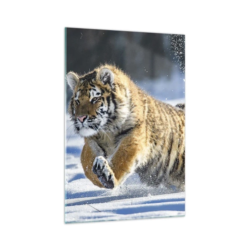 Obraz na szkle - Tygrys syberyjski biegnący w śnieżnym krajobrazie - 70x100cm - Bóg syberyjskiej tajgi - Nowoczesna dekoracja ścienna do salonu i sypialni ARTTOR