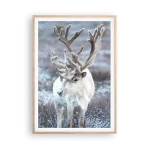 Plakat w ramie jasny dąb - Portret w słońcu - 70x100 cm