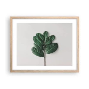 Plakat w ramie jasny dąb - Rysunek samej natury - 50x40 cm