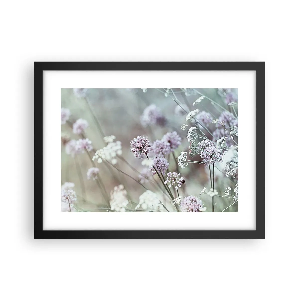 Plakat w czarnej ramie - Słodkie filigrany ziół - 40x30 cm