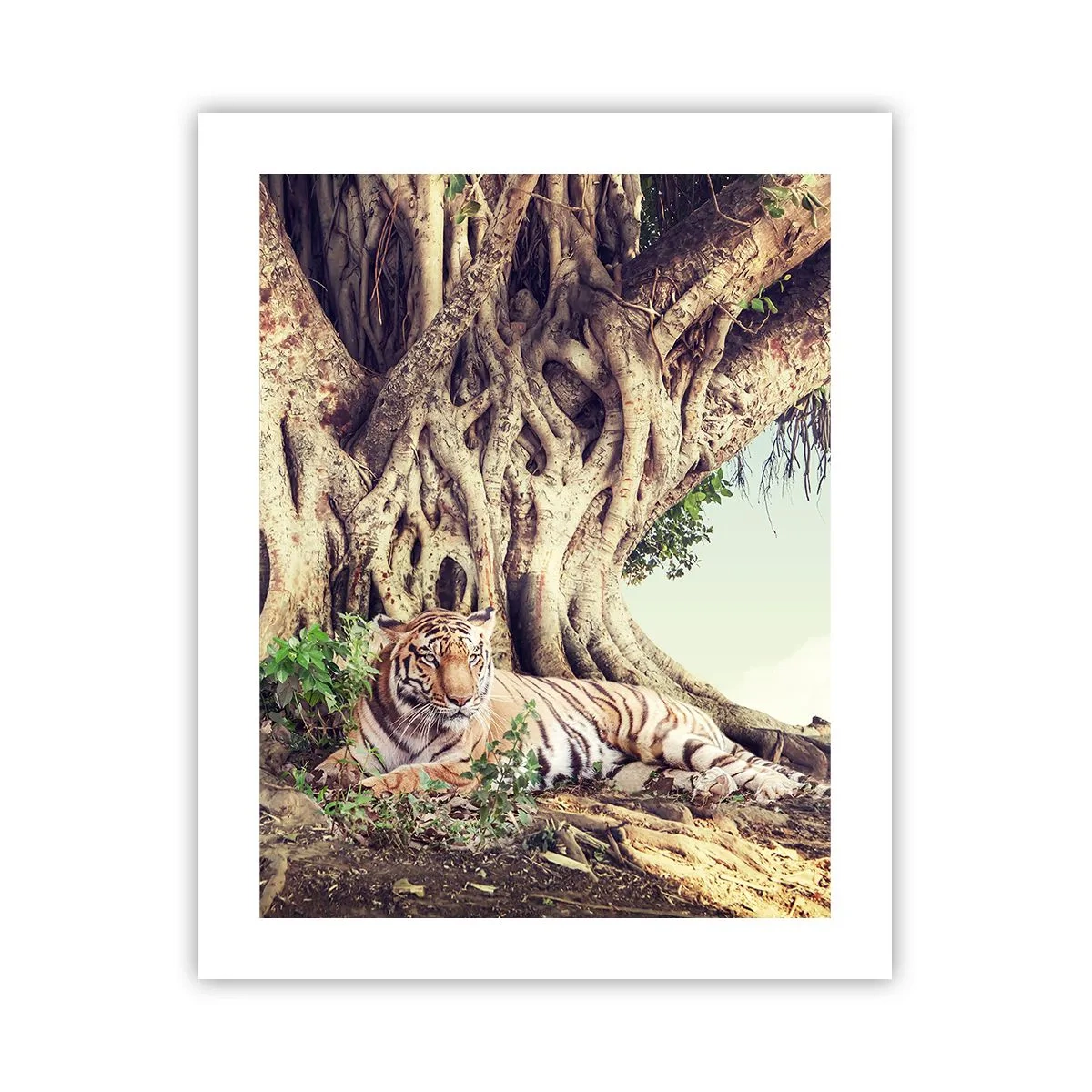 Plakat - Widok z Księgi Rodzaju - 40x50 cm