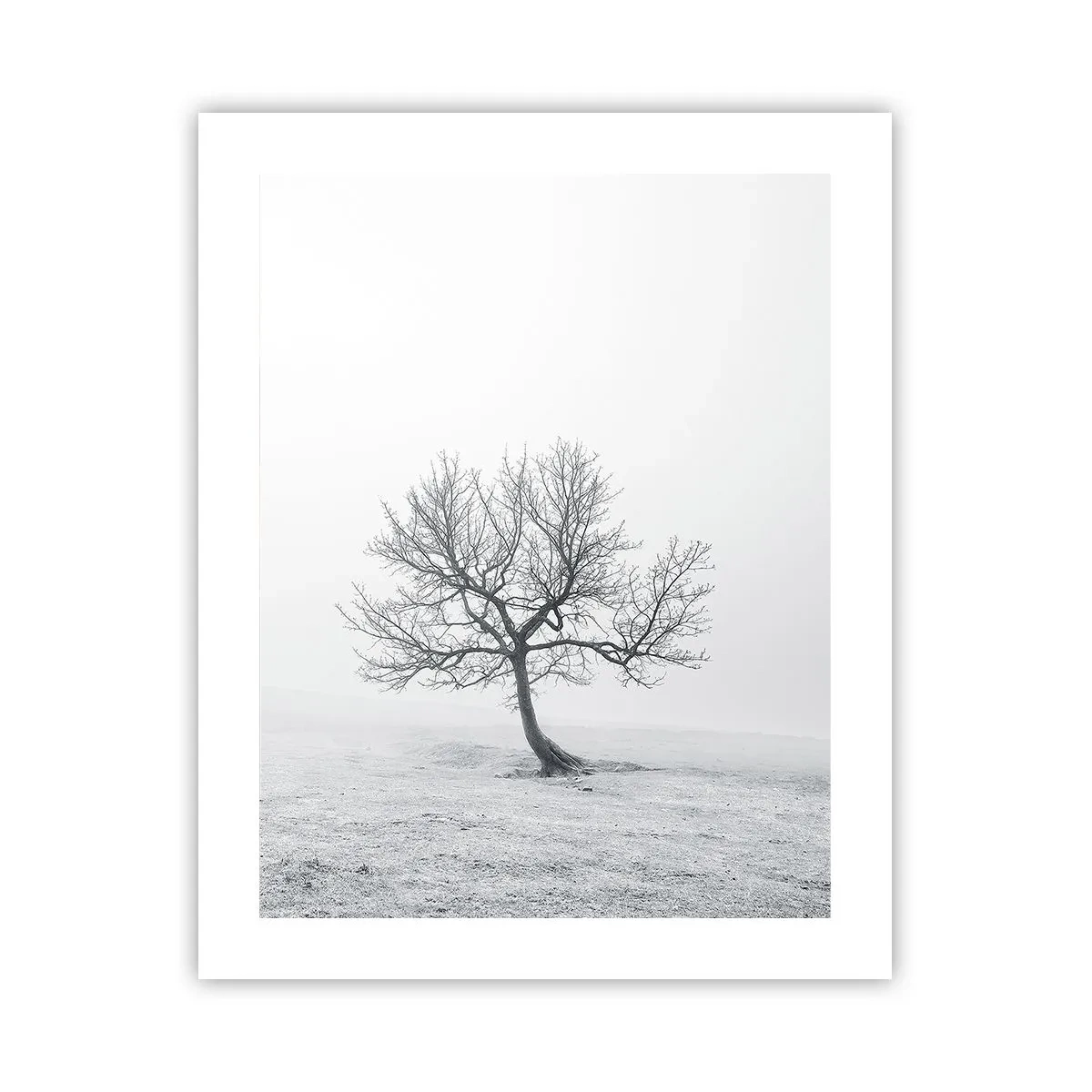 Plakat - Przeciw nicości - 40x50 cm