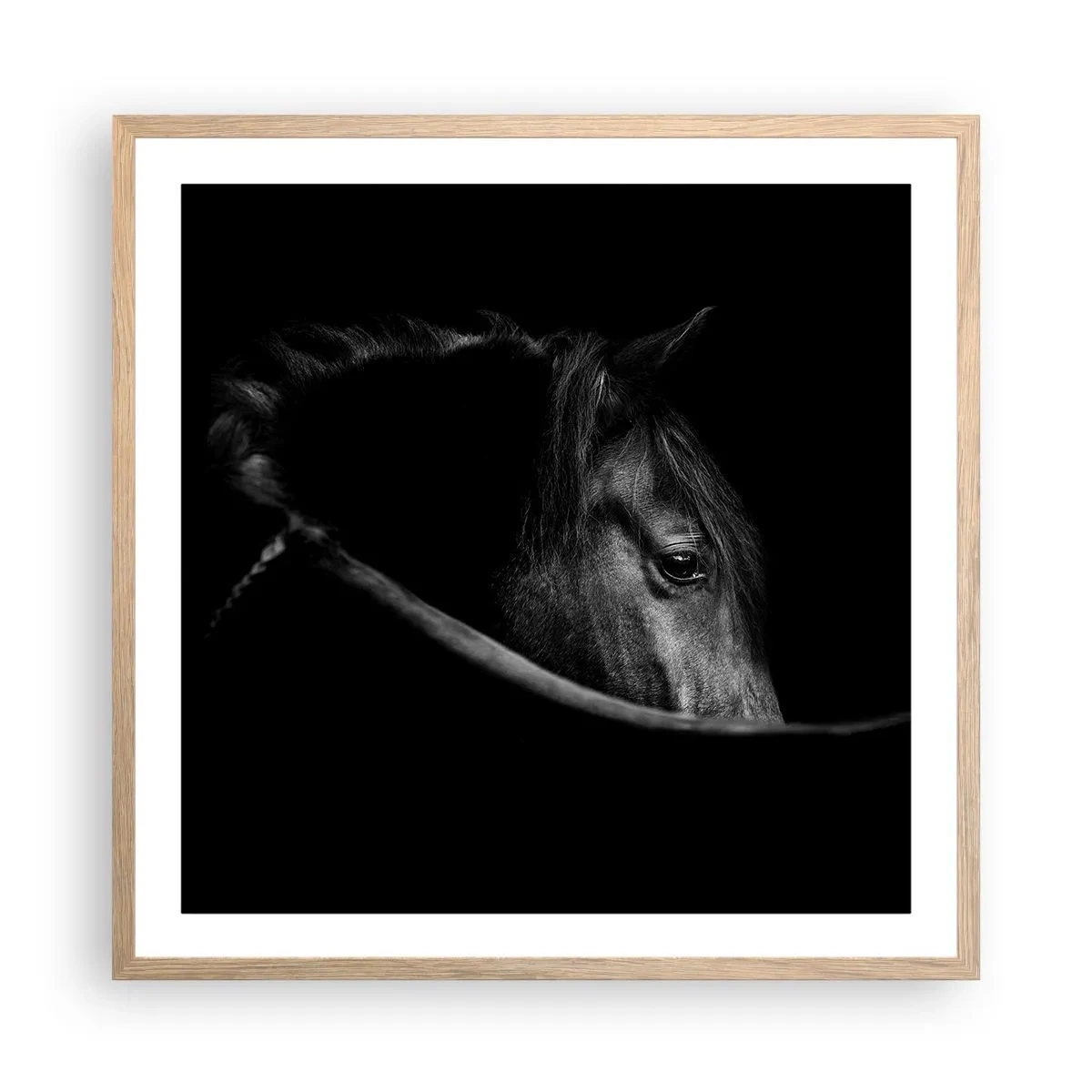 Plakat w ramie jasny dąb - Czarny książę - 60x60 cm