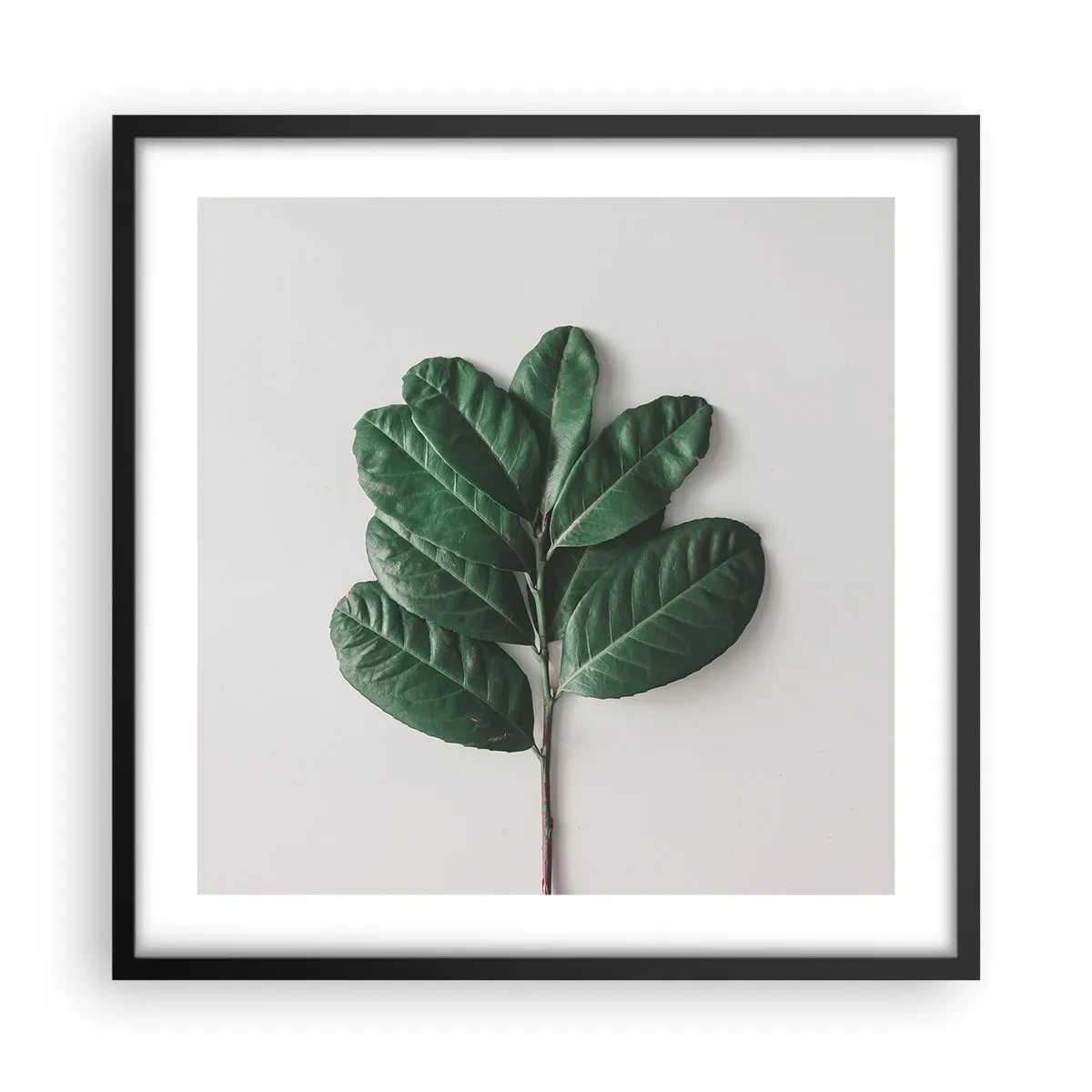 Plakat w czarnej ramie - Rysunek samej natury - 50x50 cm