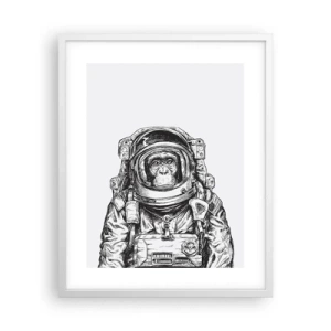 Plakat w białej ramie - Alternatywna ewolucja - 40x50 cm