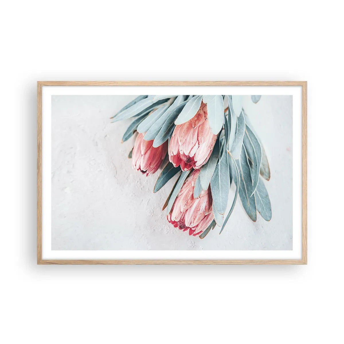 Plakat w ramie jasny dąb - Zawstydzone własną urodą - 91x61 cm