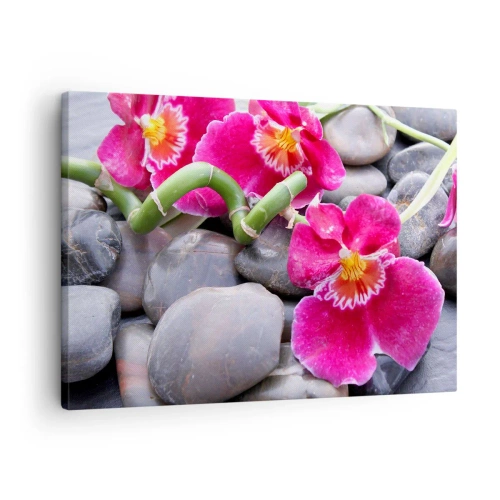 Obraz na płótnie - Chłód i żar - Różowe orchidee na tle gładkich kamieni - 70x50cm