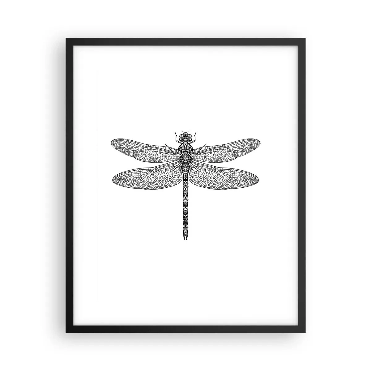 Plakat w czarnej ramie - Precyzja natury - 40x50 cm