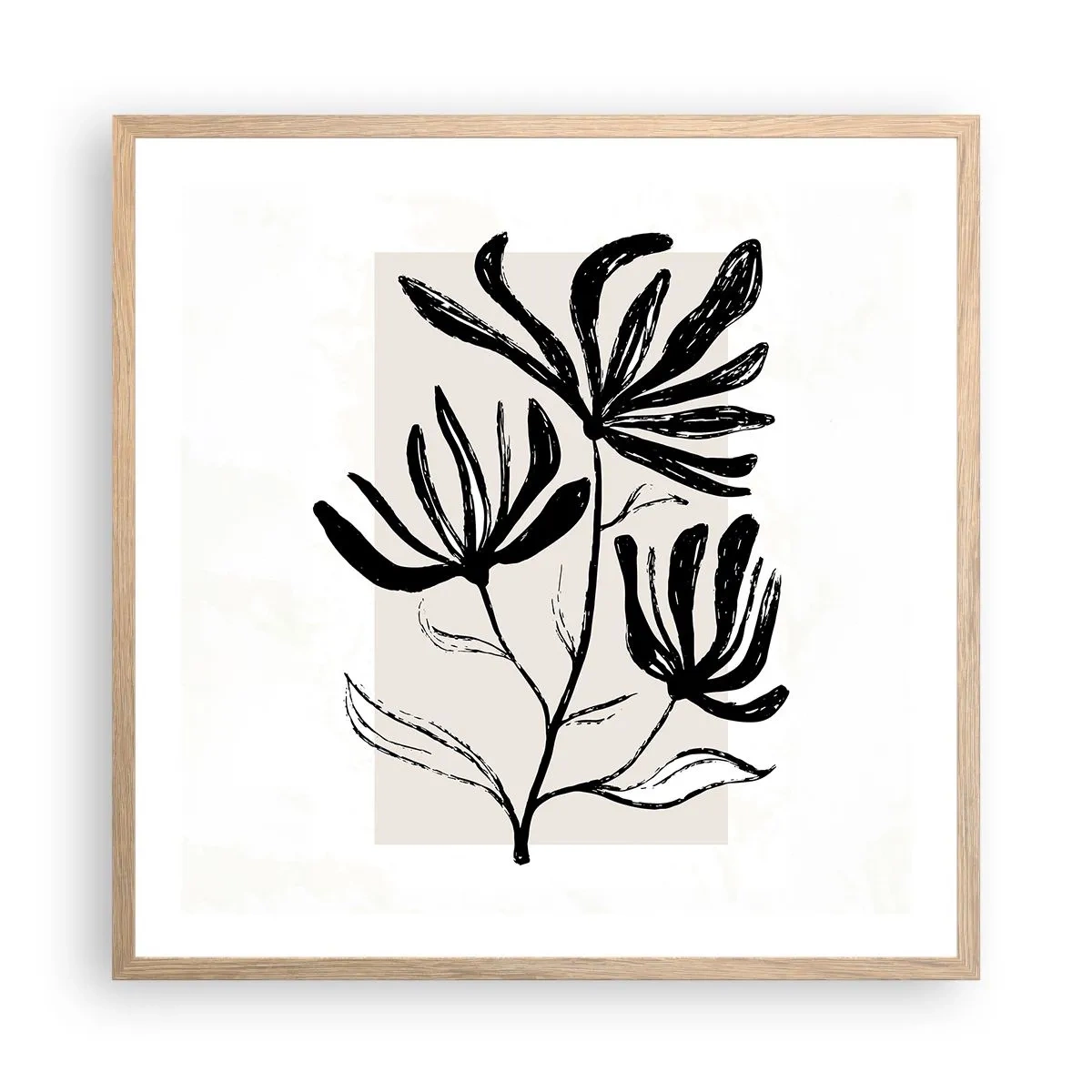Plakat w ramie jasny dąb - Szkic do zielnika - 60x60 cm