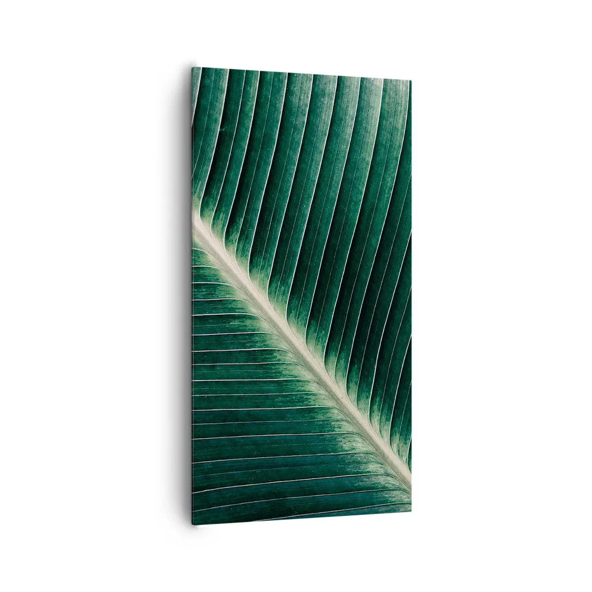 Obraz na płótnie - Rytm natury - 65x120 cm