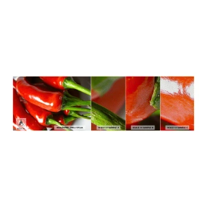 Fototapeta Próbka Premium Sand - Soczyste, błyszczące, gładkie - Gastronomia, Papryka, Warzywa - 100x30 cm