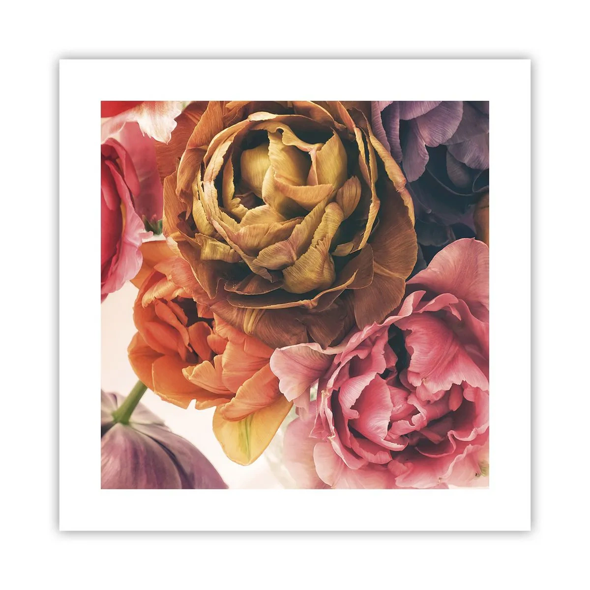 Plakat - Święto życia - 40x40 cm