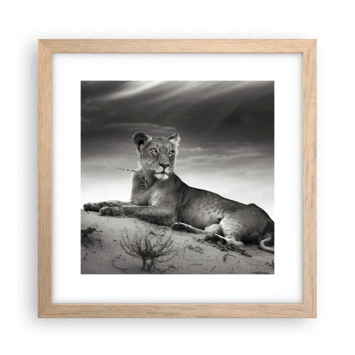 Plakat w ramie jasny dąb - Odpoczynek królowej pustyni - 30x30 cm