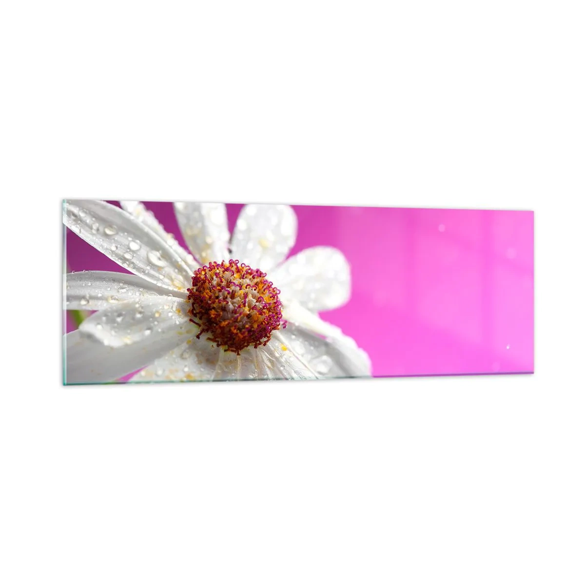 Obraz na szkle - Skromny w swojej urodzie - 90x30 cm